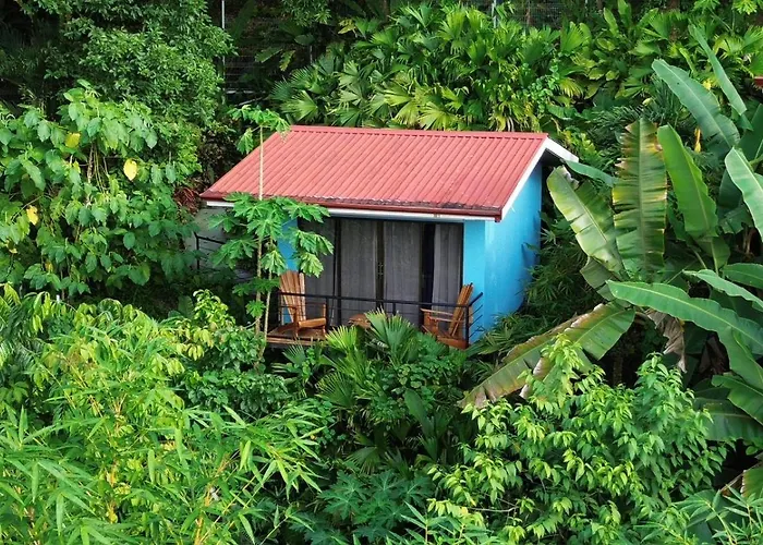 Villas In Sueno Private Jungle Hotel