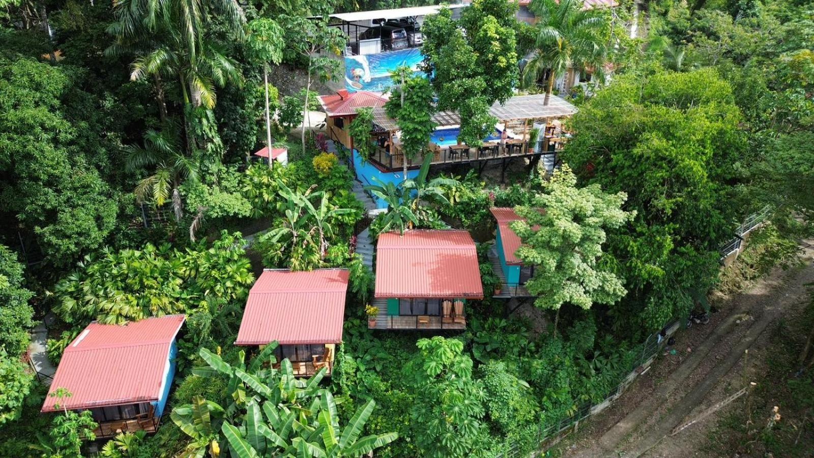 In Sueno Private Jungle * Manuel Antonio